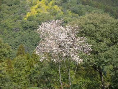 e0272335_8103467.jpg
