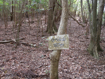 e0272335_88509.jpg