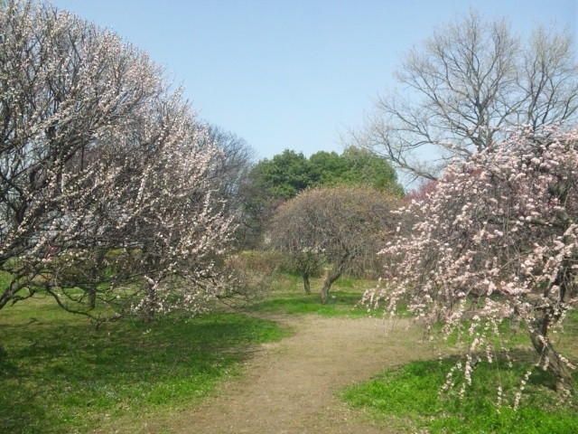 a0134136_21551009.jpg