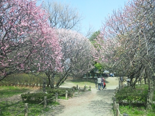 a0134136_21551117.jpg