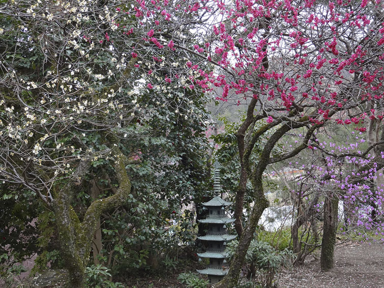 b0042837_3443224.jpg