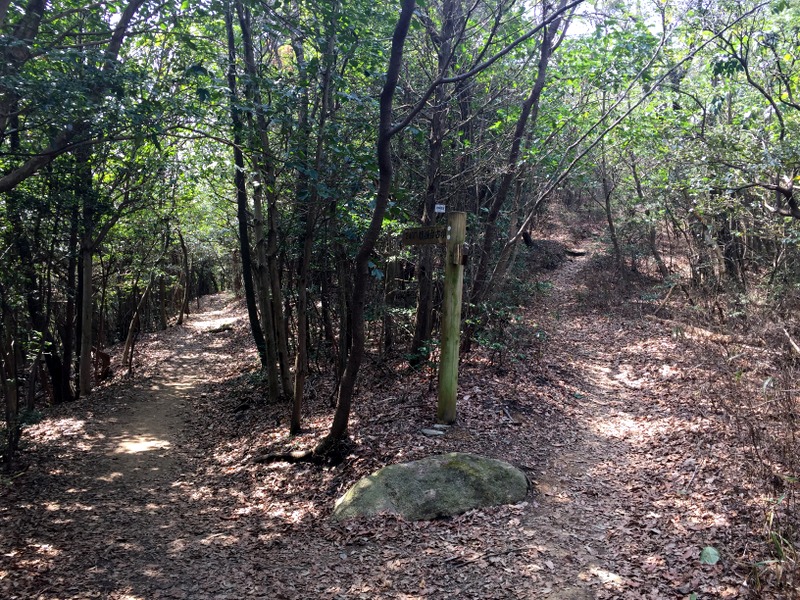 b0057140_1840437.jpg
