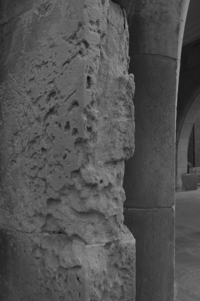d0185744_7152263.jpg