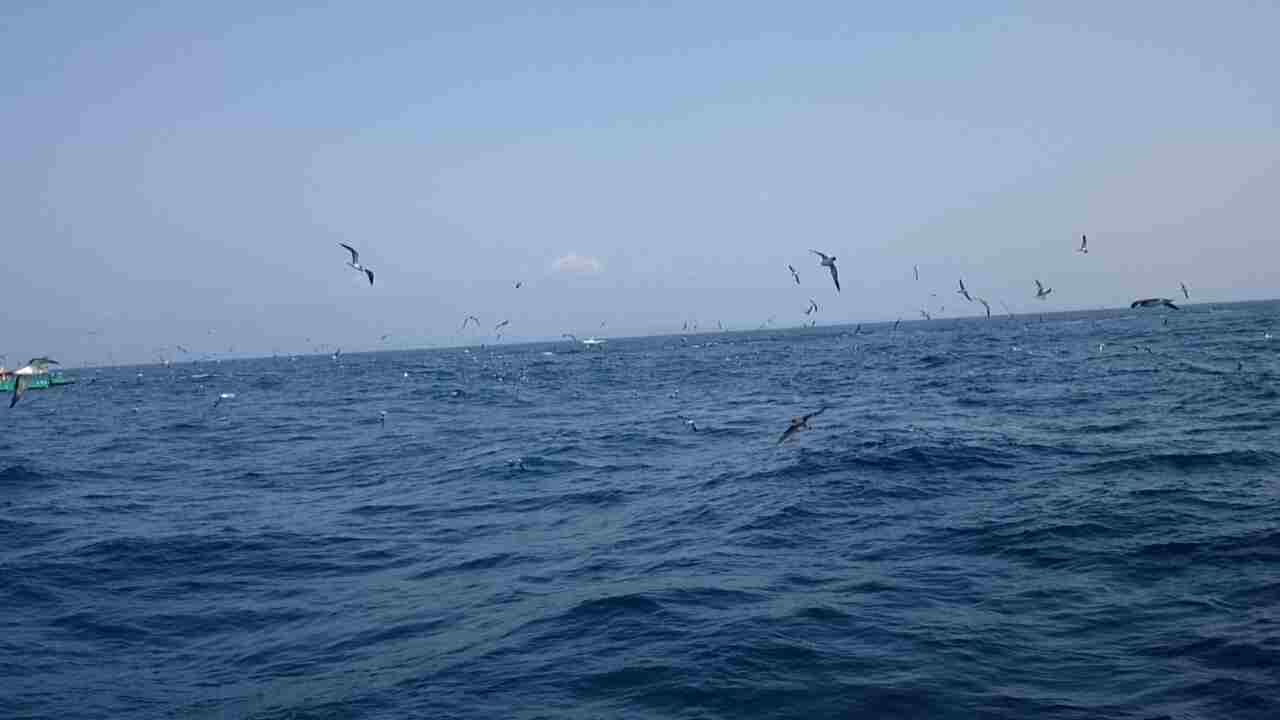 a0248152_18345428.jpg