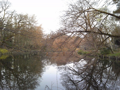 f0055956_10165148.jpg