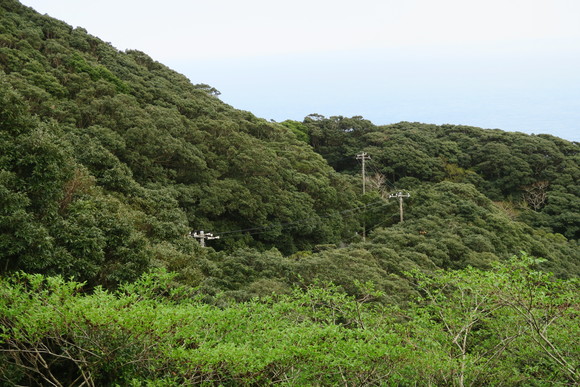 e0292172_20523596.jpg