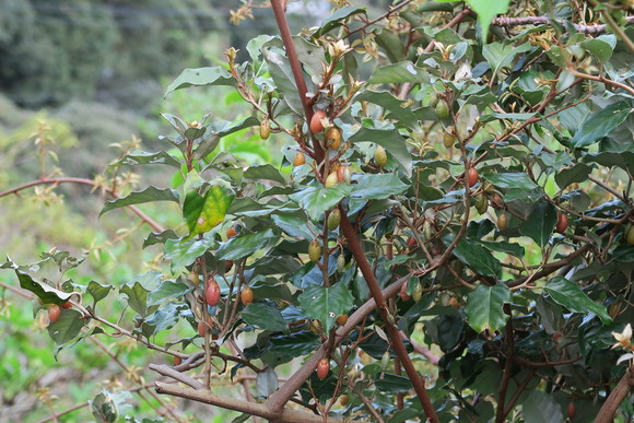 e0292172_20563082.jpg