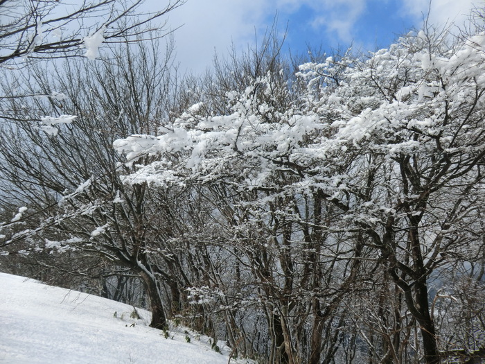 b0185573_9451385.jpg