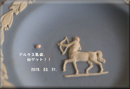 e0099375_106380.jpg