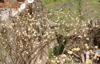 a0234877_10355041.jpg