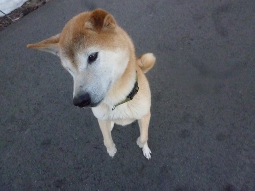 c0123890_2056624.jpg