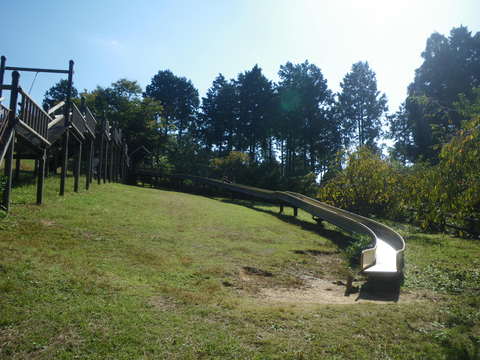 f0131491_1436497.jpg