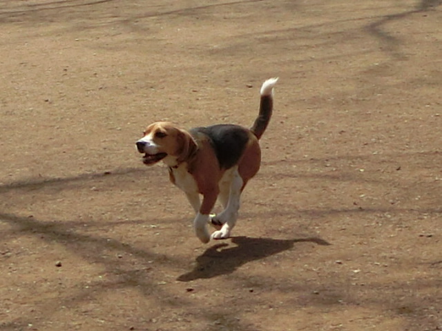 a0319693_1812395.jpg