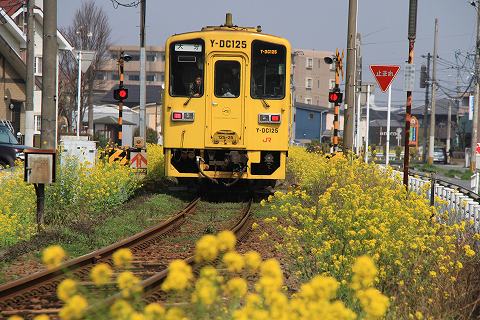 a0222494_18371636.jpg