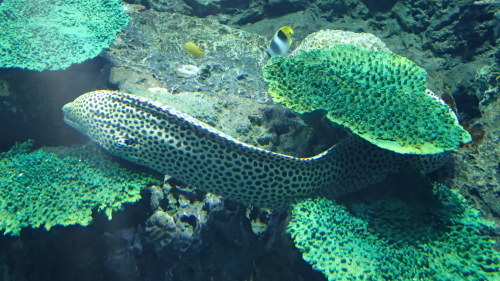 a0338094_23091127.jpg