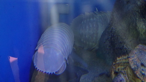 a0338094_23114531.jpg