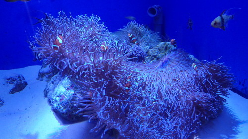 a0338094_23122972.jpg