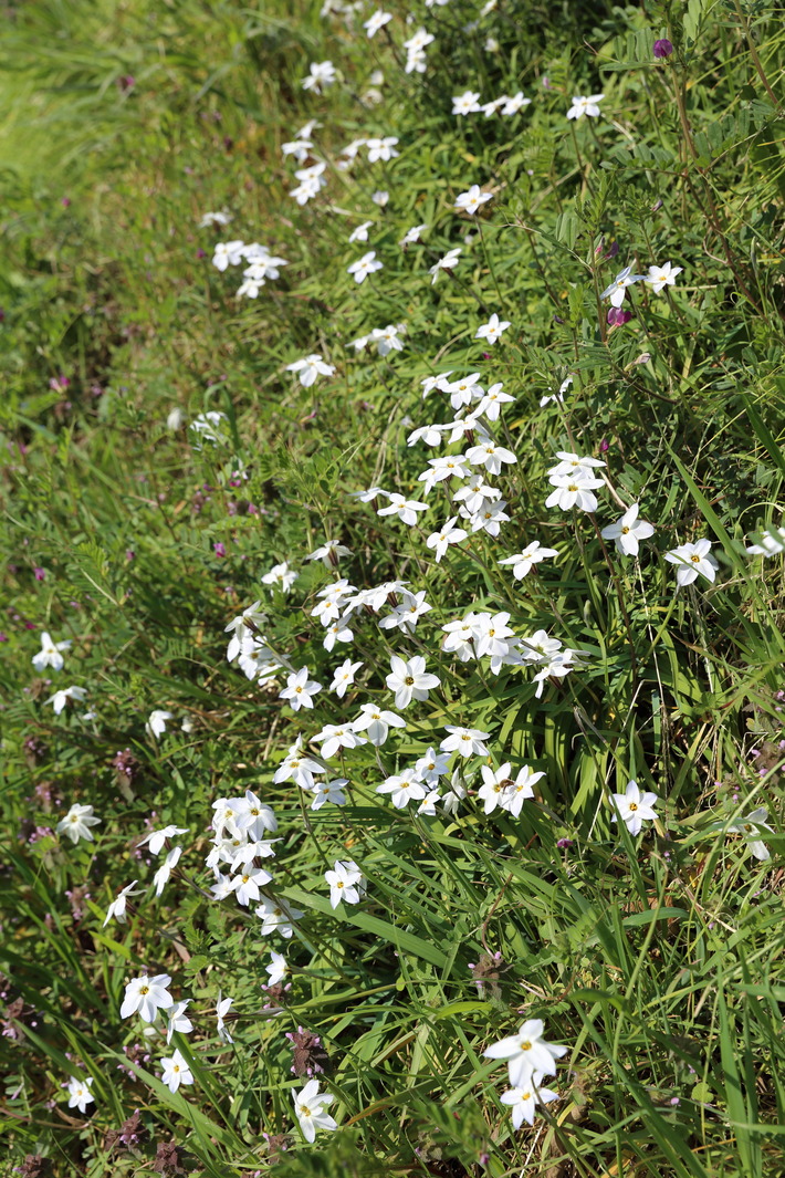 b0275998_16135273.jpg