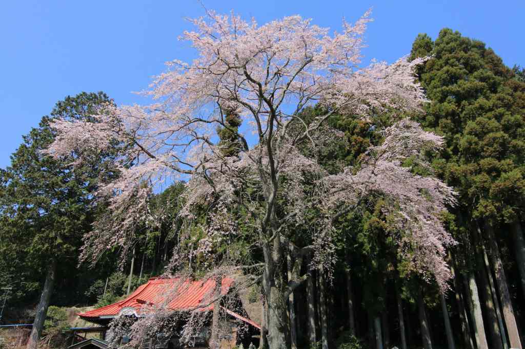 a0188405_23571304.jpg