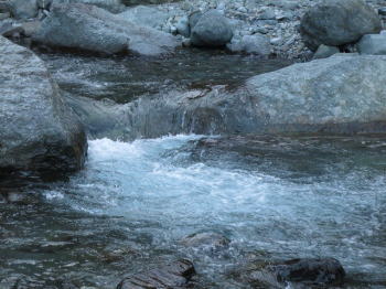 d0027711_150328.jpg