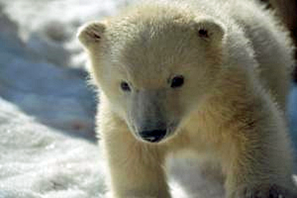 a0151913_17282065.png