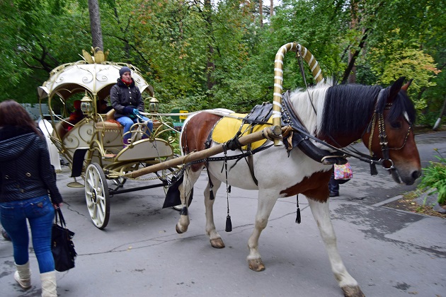 a0151913_2581295.jpg