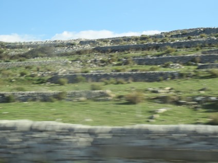 f0133814_16291632.jpg