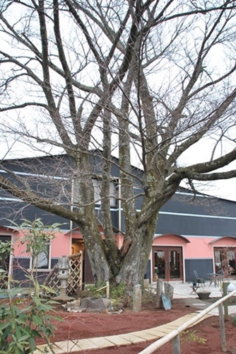 c0013922_16280020.jpg