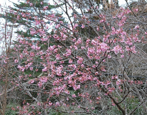 c0013922_16311069.jpg