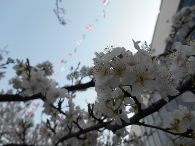 b0094029_08075453.jpg