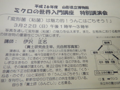 f0118332_00270050.jpg