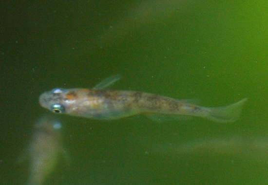 e0097534_15371583.jpg
