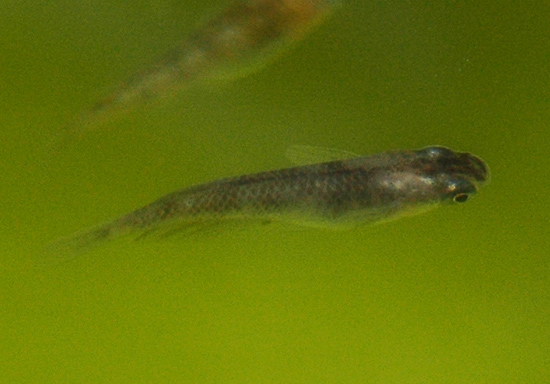 e0097534_15381259.jpg
