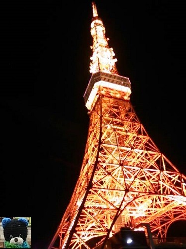 a0250740_174192.jpg