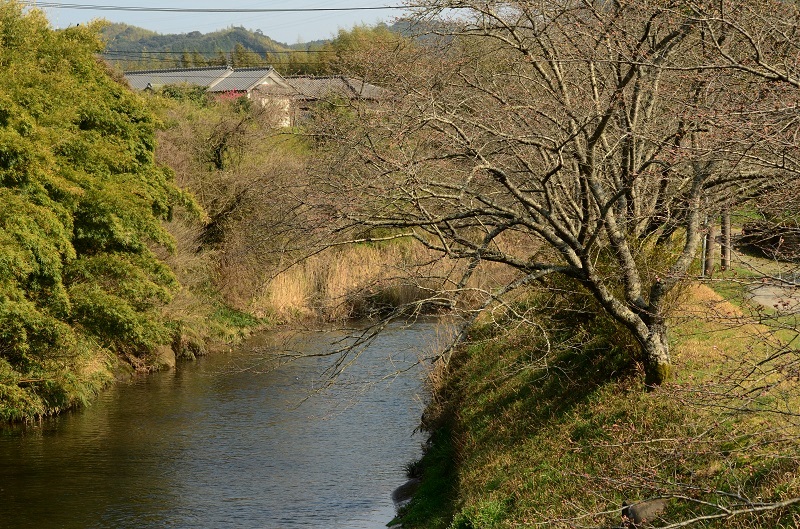 b0288942_9451367.jpg
