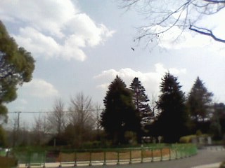 e0150843_19185928.jpg