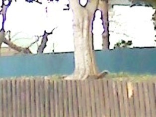 e0150843_19292857.jpg