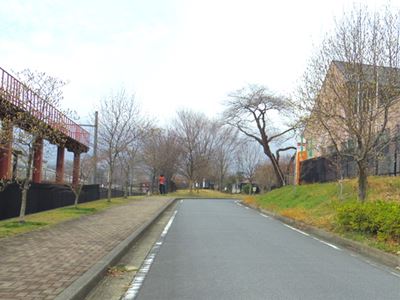 b0220251_16322290.jpg