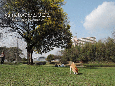 a0286855_12541989.gif