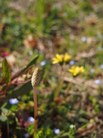b0246758_21365079.jpg