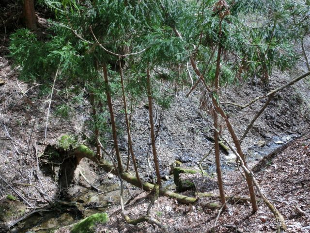 c0140260_2332318.jpg