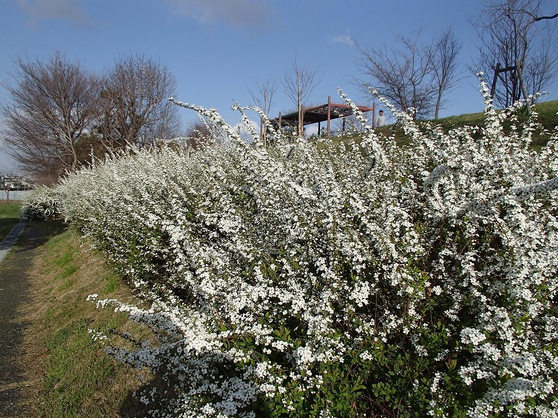 b0044663_12522754.jpg