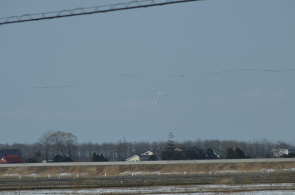 e0120466_01003450.jpg