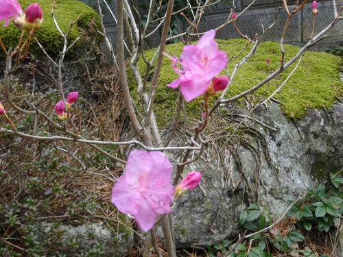 f0231573_1742428.jpg