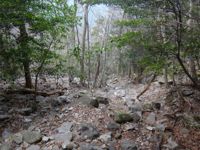 d0182075_411766.jpg