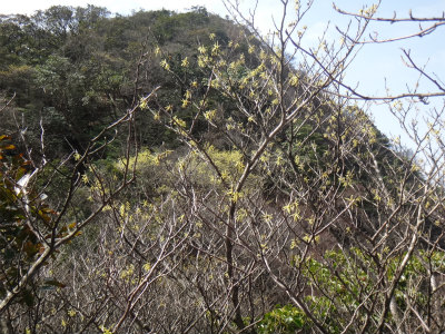 d0182075_4195582.jpg
