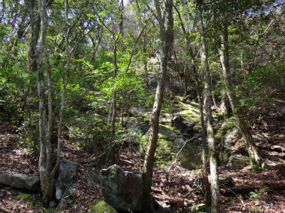 d0182075_4223359.jpg