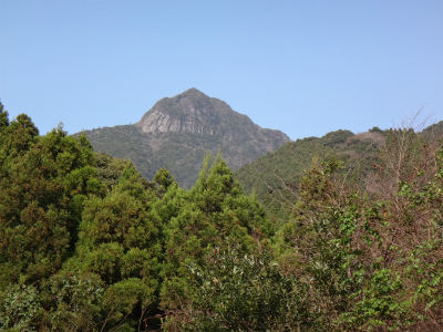 d0182075_443120.jpg