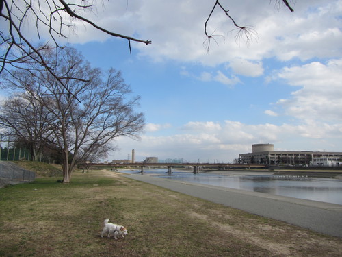 a0251786_23412751.jpg