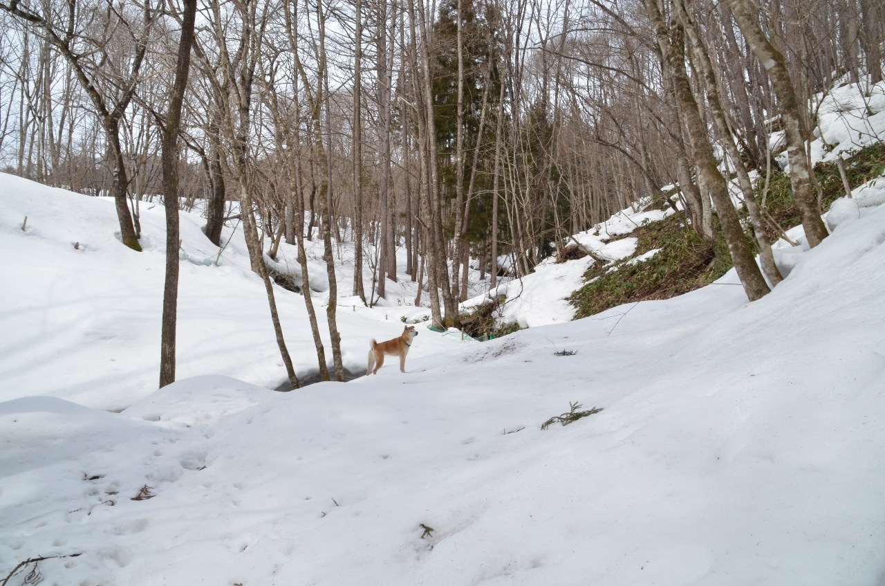 c0123890_2155511.jpg